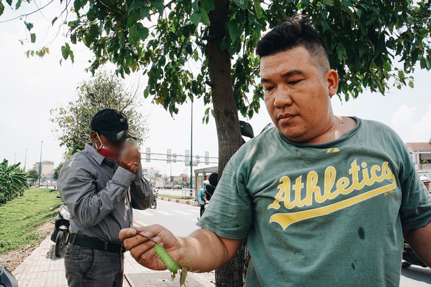 Đàn sâu to bằng ngón tay bò lúc nhúc, ăn trụi lá hàng loạt cây xanh trên đường nội đô đẹp nhất Sài Gòn - Ảnh 12.