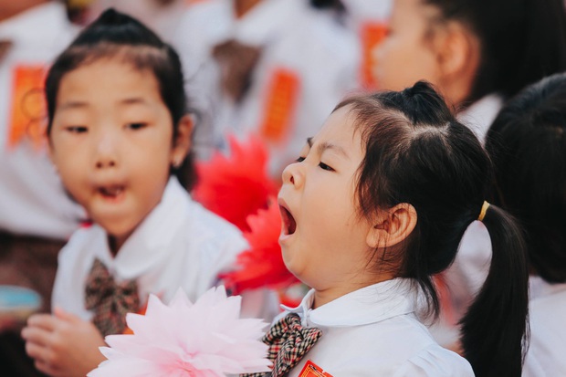 Sự thật về chùm ảnh học sinh ngáp ngắn ngáp dài trong lễ khai giảng đang được share rầm rộ - Ảnh 7.