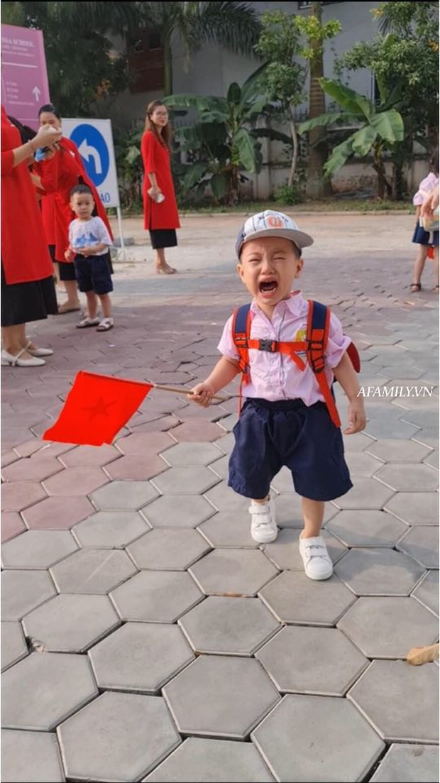 Loạt ảnh không thể bỏ qua ngày khai giảng: Học sinh mầm non cưng muốn xỉu, vừa đến trường đã gào khóc đòi về - Ảnh 13. Loạt ảnh không thể bỏ qua ngày khai giảng: Học sinh mầm non cưng muốn xỉu, vừa đến trường đã gào khóc đòi về - Ảnh 13.