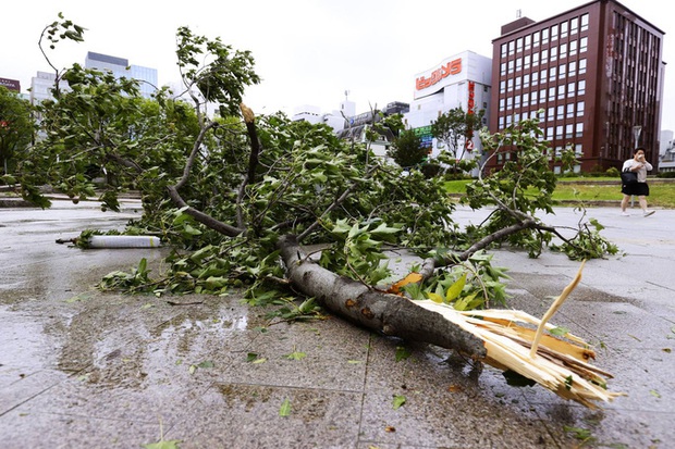 Nhật Bản: Đến nhà giám đốc trú bão Haishen, 2 thực tập sinh Việt Nam không may gặp nạn - Ảnh 3.