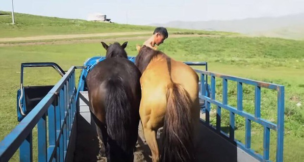 Chuyến hành trình cô độc băng qua Mông Cổ trên lưng ngựa của một cô gái: Thưởng thức cảnh tượng hùng vĩ và luôn đối mặt nguy hiểm rình rập - Ảnh 4.