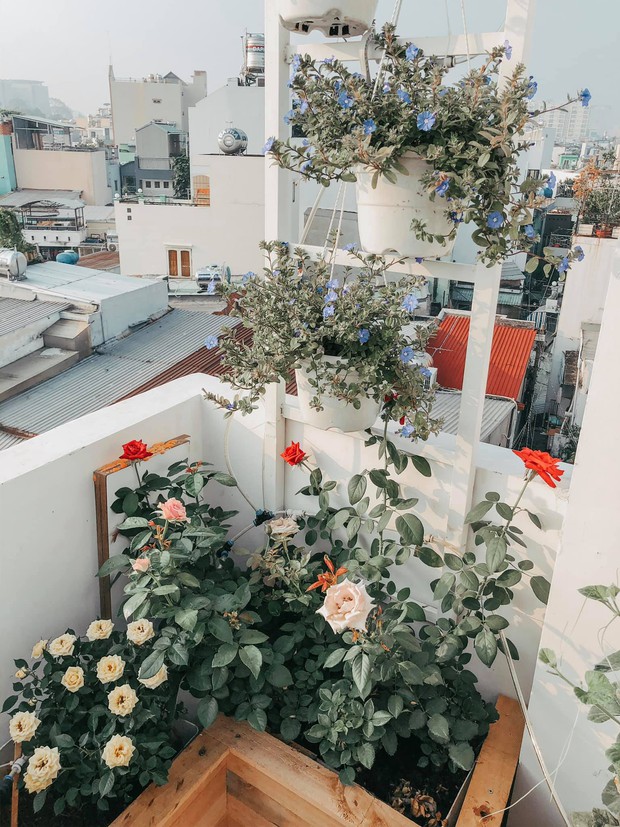 Bán chung cư, đôi vợ chồng trẻ mua căn nhà nát ở Gò Vấp và tự decor lại, đẹp như studio chụp hình - Ảnh 22.