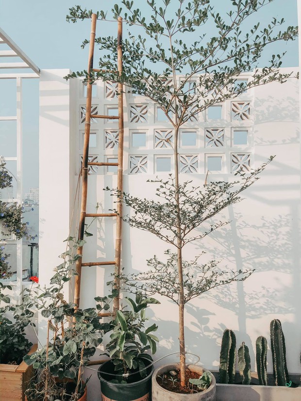 Bán chung cư, đôi vợ chồng trẻ mua căn nhà nát ở Gò Vấp và tự decor lại, đẹp như studio chụp hình - Ảnh 23.