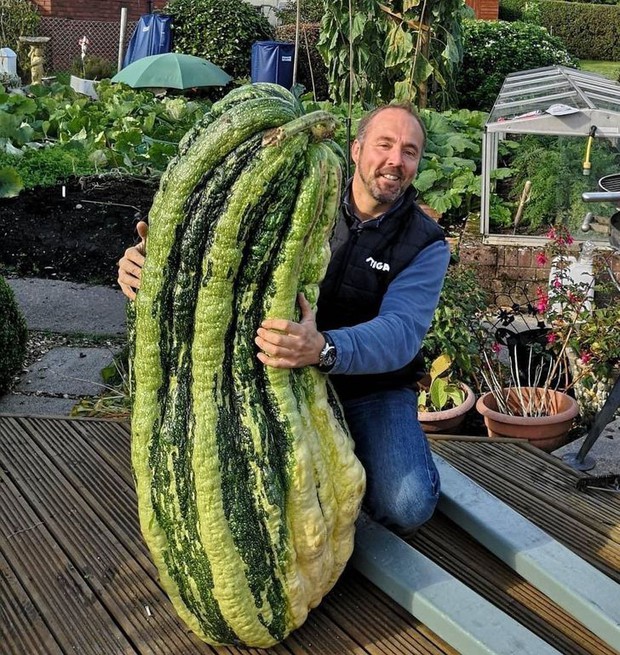 The times when netizens burst out when they discovered strangely shaped foods, the hand of "mother nature" was truly divine! - Photo 3.