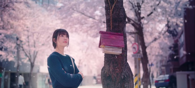 Giải mã 4 chi tiết ẩn ở Start Up: Tổ chim xuất hiện lần hai là lúc thuyền Suzy - Kim Seon Ho chính thức tanh bành? - Ảnh 1.