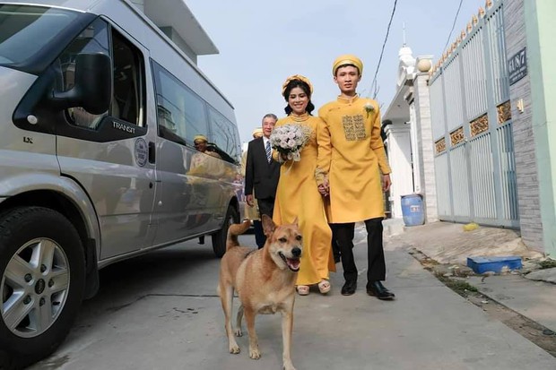 Đám cưới rộn ràng khắp MXH nhờ sự xuất hiện của... một chú chó, biểu cảm vui như Tết khiến ai cũng phải bật cười - Ảnh 2. Đám cưới rộn ràng khắp MXH nhờ sự xuất hiện của... một chú chó, biểu cảm vui như Tết khiến ai cũng phải bật cười - Ảnh 2.