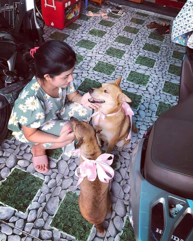 Đám cưới rộn ràng khắp MXH nhờ sự xuất hiện của... một chú chó, biểu cảm vui như Tết khiến ai cũng phải bật cười - Ảnh 3. Đám cưới rộn ràng khắp MXH nhờ sự xuất hiện của... một chú chó, biểu cảm vui như Tết khiến ai cũng phải bật cười - Ảnh 3.