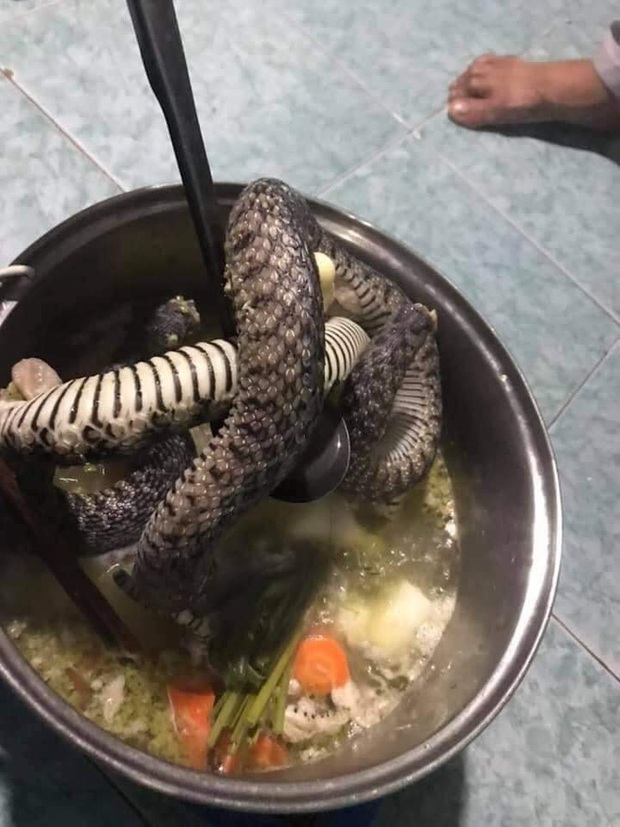 Cuối tháng nhóm sinh viên làm bữa cải thiện, nhưng vừa mở vung nồi đã xanh mặt vì món bên trong - Ảnh 1.