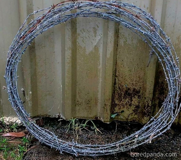 Bộ ảnh Nếu năm 2020 là đây, xem xong chỉ muốn ngủ một giấc sang 2021 cho thảnh thơi - Ảnh 11.