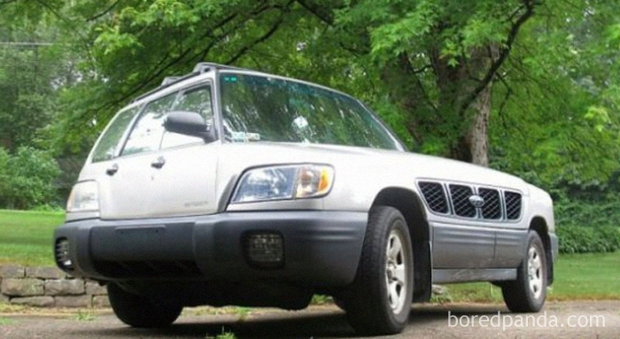 Bộ ảnh Nếu năm 2020 là đây, xem xong chỉ muốn ngủ một giấc sang 2021 cho thảnh thơi - Ảnh 7.