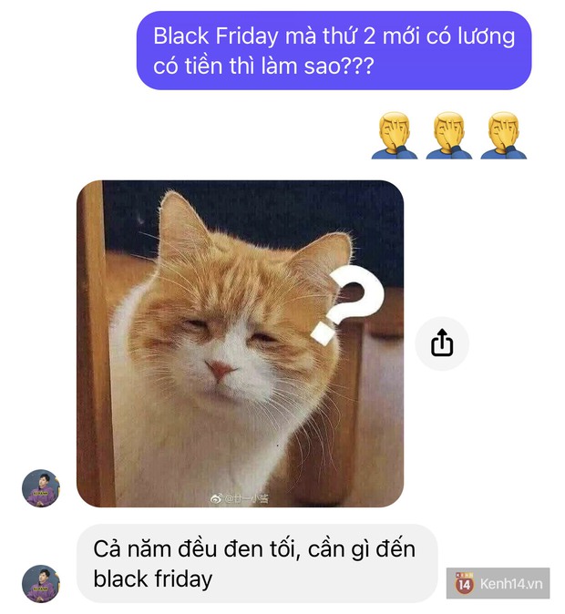 Black Friday sale ầm ầm nhưng mãi thứ 2 mới có lương là cảm giác ra sao? - Ảnh 9.