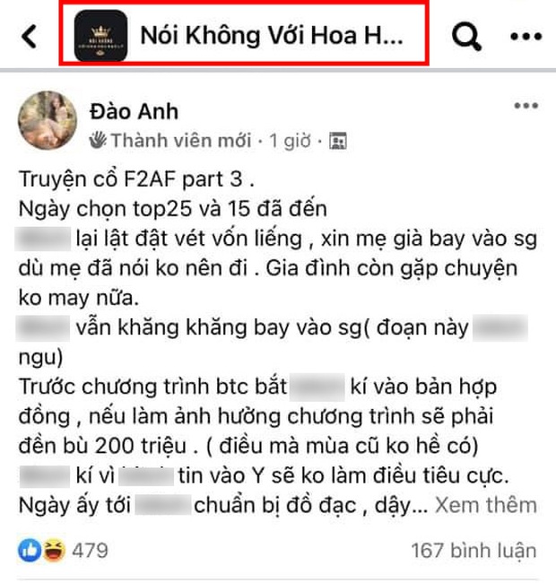 Đào Anh vào thẳng group anti kể chuyện về Hương Giang, còn mỉa mai gọi Võ Hoàng Yến là chị Bánh Tráng? - Ảnh 3.