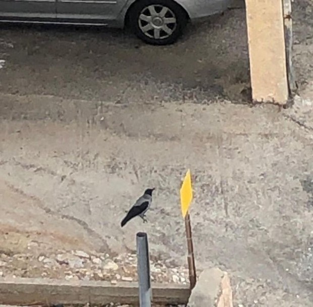 Những pose ảnh phong cách đúng người, đúng thời điểm mà chắc phải lộc lá lắm mới chụp được  - Ảnh 3.