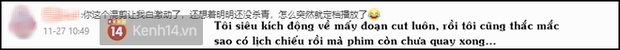 Đợi hết nổi, fan tự làm luôn trailer phim Địch Lệ Nhiệt Ba - Dương Dương từ loạt siêu phẩm một thời - Ảnh 16.