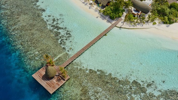 Vượt khó mùa Covid-19, quốc đảo Maldives tạo ra dịch vụ giãn cách xã hội sang chảnh như thiên đường để hút khách - Ảnh 4.