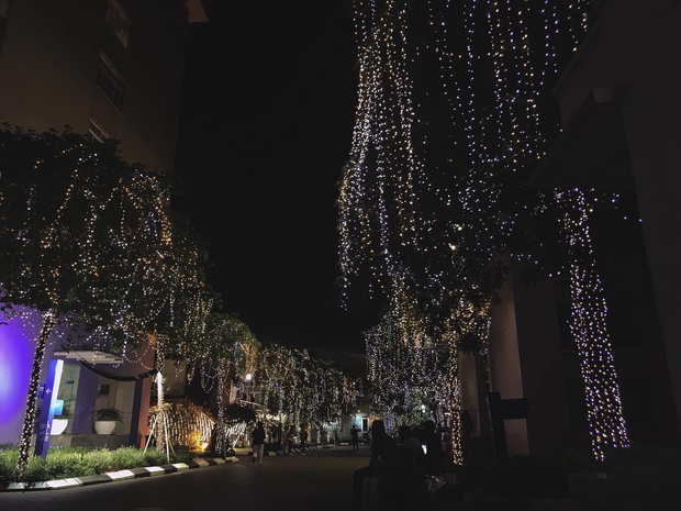 Đại học Thăng Long mùa giáng sinh, đẹp lung linh đến mức sinh viên bước vào trường cứ ngỡ lạc vào vườn cổ tích - Ảnh 3.