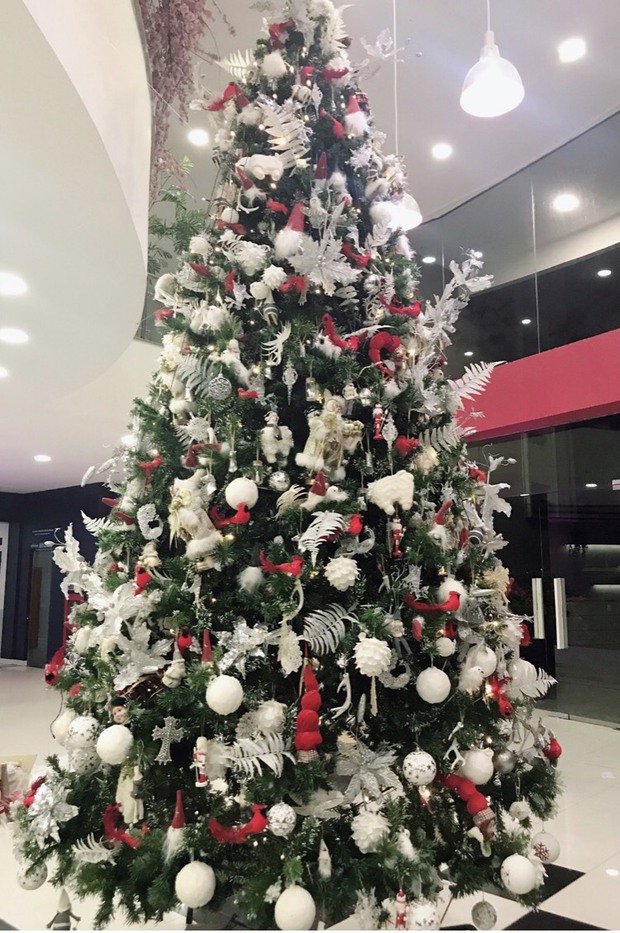 Đại học Thăng Long mùa giáng sinh, đẹp lung linh đến mức sinh viên bước vào trường cứ ngỡ lạc vào vườn cổ tích - Ảnh 5.