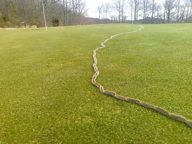 Loạt ảnh chụp những cảnh tượng siêu hiếm mà chỉ 1 trong 1 triệu người được độ may ra có cơ hội chứng kiến - Ảnh 12.