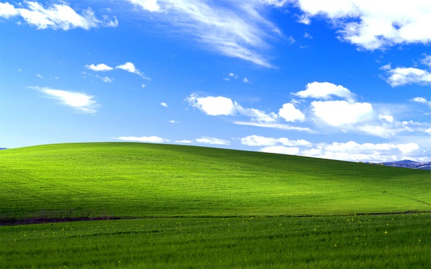 Sự thật đầy bất ngờ phía sau bức ảnh nền huyền thoại của hệ điều hành Windows XP - Ảnh 1. Sự thật đầy bất ngờ phía sau bức ảnh nền huyền thoại của hệ điều hành Windows XP - Ảnh 1.