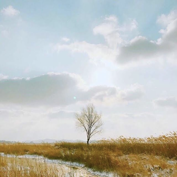 Không làm celeb, dàn idol này có thể đổi nghề nhiếp ảnh: Lisa có BST máy ảnh đắt giá, đôi em út BTS được cả dân chuyên nghiệp khen - Ảnh 12.