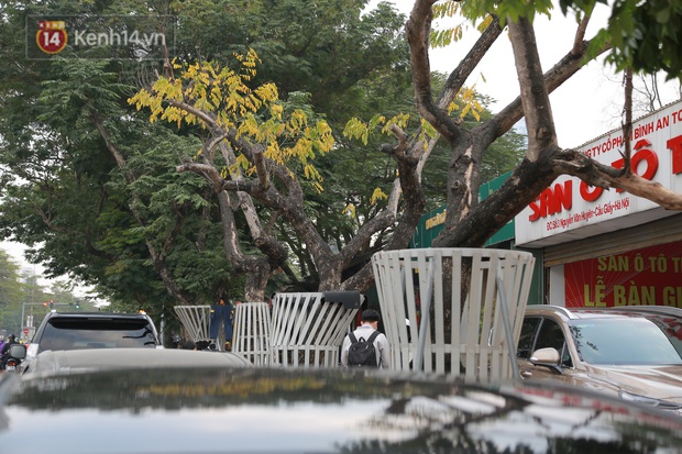 Những cây sưa đỏ mang giáp sắt, lắp camera theo dõi đã chết khô: Người Hà Nội xót xa, lo lắng - Ảnh 6. Những cây sưa đỏ mang giáp sắt, lắp camera theo dõi đã chết khô: Người Hà Nội xót xa, lo lắng - Ảnh 6.
