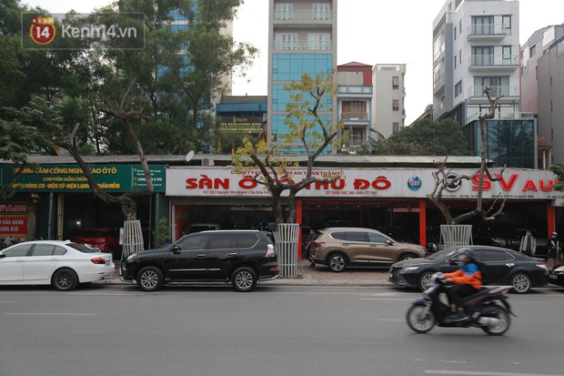 Những cây sưa đỏ mang giáp sắt, lắp camera theo dõi đã chết khô: Người Hà Nội xót xa, lo lắng - Ảnh 2. Những cây sưa đỏ mang giáp sắt, lắp camera theo dõi đã chết khô: Người Hà Nội xót xa, lo lắng - Ảnh 2.