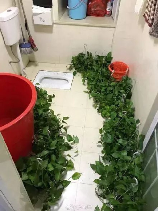 Nhà vệ sinh với thiết kế muốn xỉu ngang: siêu hẹp đã đành, muốn vào còn phải đi qua nấc thang lên thiên đường - Ảnh 6.