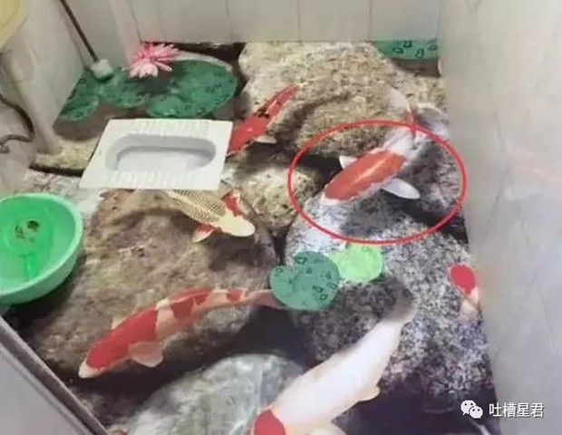 Nhà vệ sinh với thiết kế muốn xỉu ngang: siêu hẹp đã đành, muốn vào còn phải đi qua nấc thang lên thiên đường - Ảnh 5.