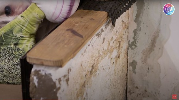 Bỏ phố về quê, cặp vợ chồng cải tạo chuồng lợn thành nơi an dưỡng tuổi già, mở cả hiệu sách để thoả mãn đam mê - Ảnh 2.