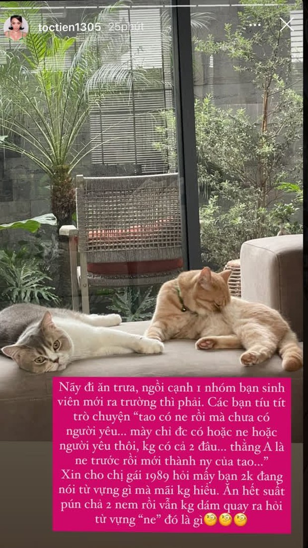 Tóc Tiên nghe lỏm hội Gen Z nói chuyện mày chỉ được có ne hoặc có người yêu thôi, đố: Ne là gì? - Ảnh 1.