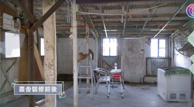 Bỏ phố về quê, cặp vợ chồng cải tạo chuồng lợn thành nơi an dưỡng tuổi già, mở cả hiệu sách để thoả mãn đam mê - Ảnh 1.