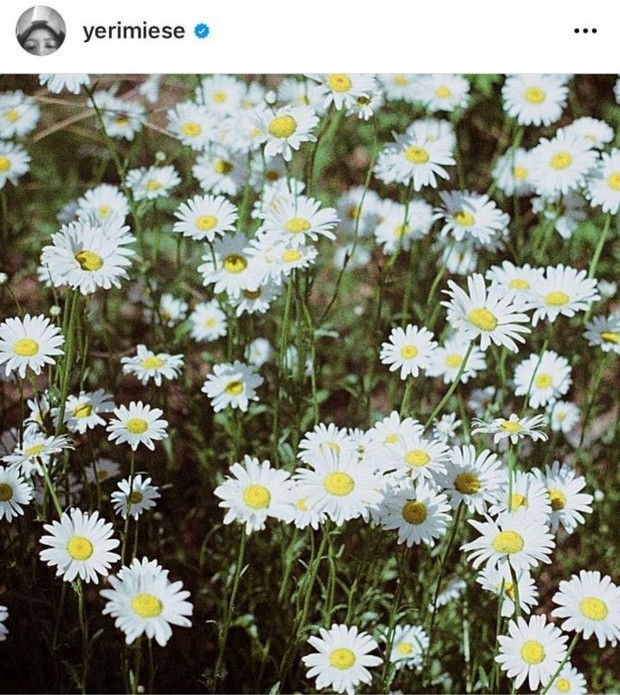Fan soi ra hint Red Velvet comeback trong MV của Taeyeon: Netizen tấm tắc khen vũ trụ liên kết nhà SM quá đỉnh - Ảnh 4. Fan soi ra hint Red Velvet comeback trong MV của Taeyeon: Netizen tấm tắc khen vũ trụ liên kết nhà SM quá đỉnh - Ảnh 4.