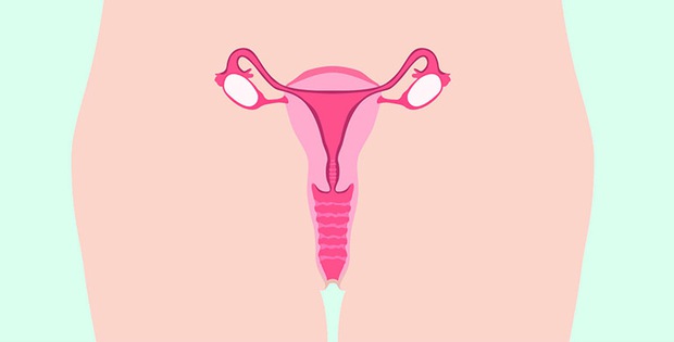 3 loại viêm phụ khoa thường gặp ở nữ giới và cách để nhận biết ngay từ sớm - Ảnh 2.