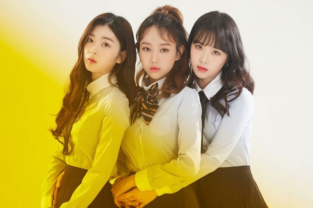 11 nhóm nhạc Kpop tan rã trong năm 2020: X1 disband tức tưởi dù lỗi do Mnet, 2 girlgroup chưa một lần comeback đã đường ai nấy đi - Ảnh 19.