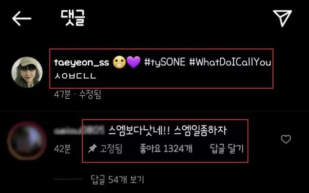 Đăng bài quảng bá album mới, Taeyeon bị nghi mượn tay fan cà khịa SM khiến netizen thích thú vì quá thâm sâu - Ảnh 2. Đăng bài quảng bá album mới, Taeyeon bị nghi mượn tay fan cà khịa SM khiến netizen thích thú vì quá thâm sâu - Ảnh 2.