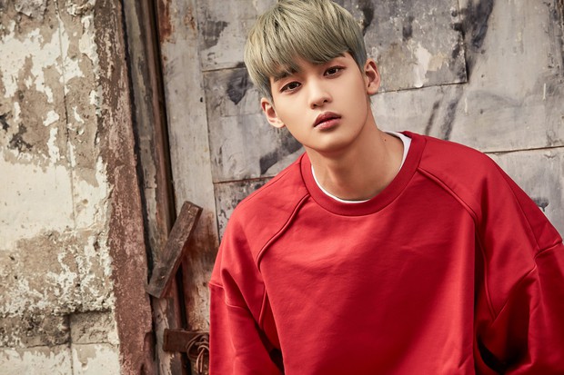 11 nhóm nhạc Kpop tan rã trong năm 2020: X1 disband tức tưởi dù lỗi do Mnet, 2 girlgroup chưa một lần comeback đã đường ai nấy đi - Ảnh 9.