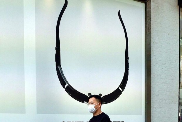 Những khoảnh khắc trùng hợp râu ông nọ cắm cằm bà kia siêu hài hước, càng xem càng nể những bàn tay vàng trong làng chụp ảnh - Ảnh 7.