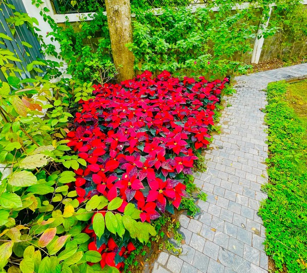 Biệt thự ven sông của Lã Thanh Huyền mùa Noel: Sang chảnh đẳng cấp 5 sao, ngắm góc nào cũng đẹp muốn xỉu - Ảnh 11.