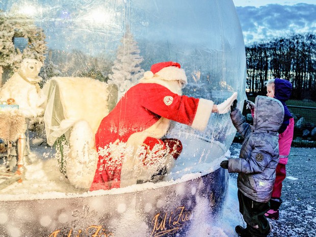 Khi mùa Noel vẫn trùng mùa dịch Covid-19: Nhìn ảnh để thấy thế giới thực sự đang đón một Giáng sinh kỳ lạ nhất từ trước đến nay - Ảnh 2.