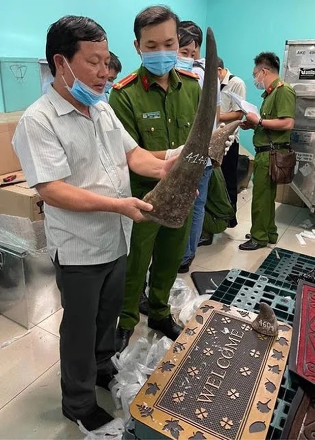 Phát hiện gần 100 kg nghi sừng tê giác ở khu vực sân bay Tân Sơn Nhất - Ảnh 2.