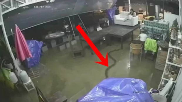Nhà bị ngập lụt sau trận mưa lớn, người phụ nữ ngồi trên ghế chứng kiến cảnh sợ run người vì Tử thần cận kề: Tim tôi như ngừng đập - Ảnh 1.