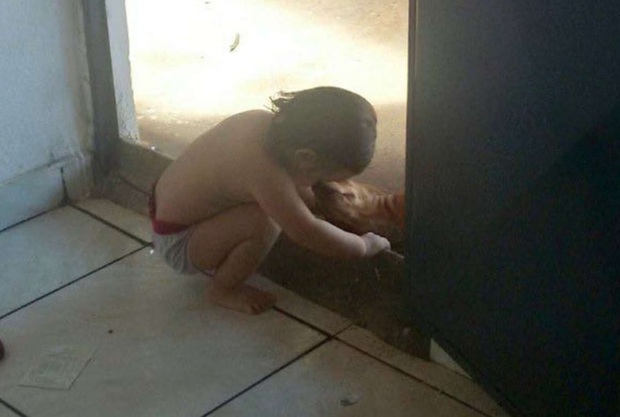 Con gái đang chơi với bầy chó bỗng im bặt, bố mẹ lo lắng đi kiểm tra thì thấy đứa trẻ nằm sấp dưới đất, tiến lại gần liền bật cười - Ảnh 5.