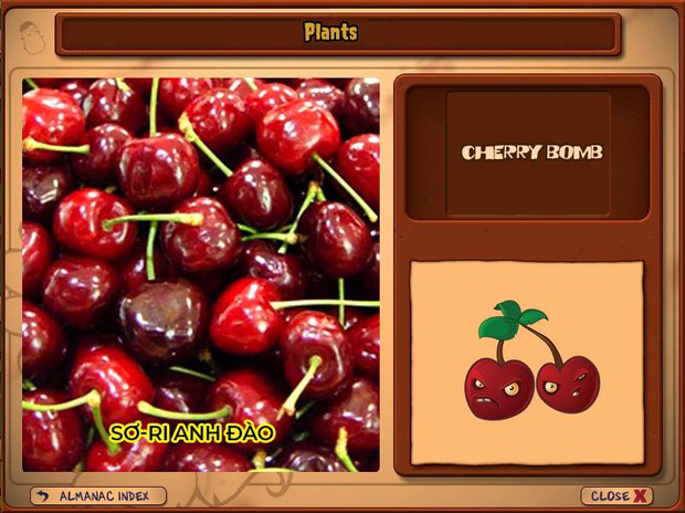 Nhà ai cũng 3 đời cày Plants vs Zombies nhưng chẳng ai biết hết những loại cây trong game này! - Ảnh 4.