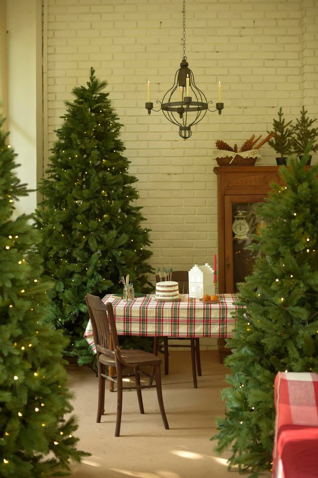 Chàng trai trang trí căn phòng Giáng sinh đẹp như cổ tích, nhìn thơ đến mức dân tình chỉ muốn ở nhà để chill Noel - Ảnh 4.