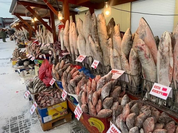 Bức ảnh cá cứng đơ xếp từng chồng bày bán ở chợ gây ngạc nhiên tột độ và sự thật về thành phố lạnh nhất thế giới, đóng băng cả lông mi và tóc - Ảnh 6.