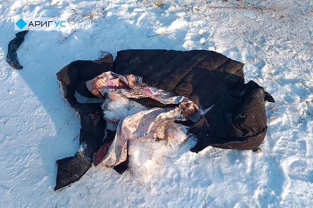 Nghe tiếng hét kinh hoàng, người dân vội ra xem rồi bàng hoàng trước cảnh tượng ám ảnh dưới nền tuyết phủ trắng xóa - Ảnh 3.