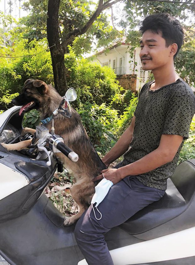 Boss có IQ vô cực: Thấy chân dung in trên tờ rơi tìm chó đi lạc giống mình, bèn ngồi cạnh ung dung chờ sen đến đón - Ảnh 3. Boss có IQ vô cực: Thấy chân dung in trên tờ rơi tìm chó đi lạc giống mình, bèn ngồi cạnh ung dung chờ sen đến đón - Ảnh 3.