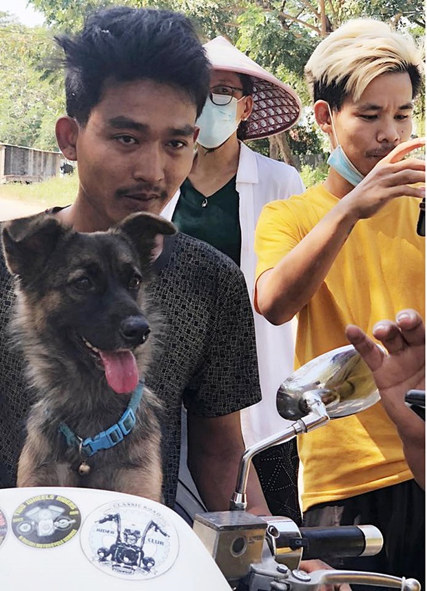 Boss có IQ vô cực: Thấy chân dung in trên tờ rơi tìm chó đi lạc giống mình, bèn ngồi cạnh ung dung chờ sen đến đón - Ảnh 2. Boss có IQ vô cực: Thấy chân dung in trên tờ rơi tìm chó đi lạc giống mình, bèn ngồi cạnh ung dung chờ sen đến đón - Ảnh 2.