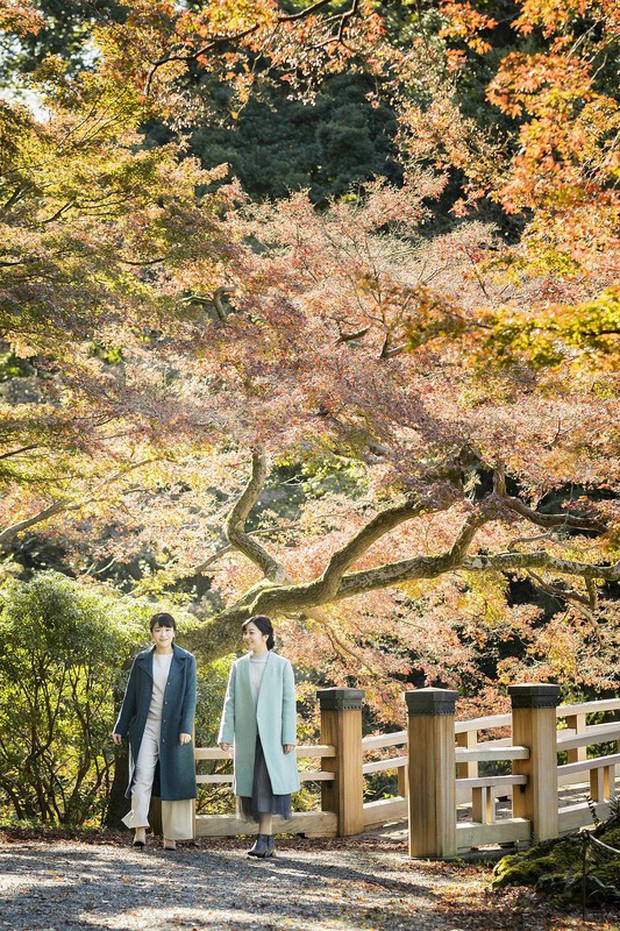 Công chúa xinh đẹp nhất Hoàng gia Nhật gây sốt với nhan sắc ngày càng lên hương, ăn vận đơn giản cũng tỏa ra khí chất hoàng tộc nổi bần bật - Ảnh 6.