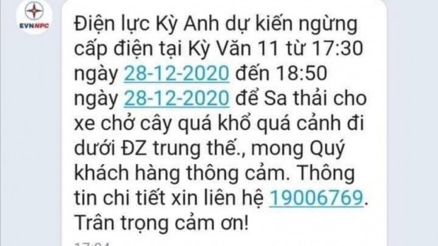 Xôn xao việc cắt điện để xe chở cây “khủng” đi qua Hà Tĩnh - Ảnh 1.